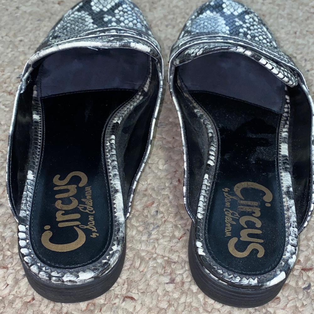 Circus by Sam Edelman Gray Snake Print penny Loafers - Picture 8 of 9
